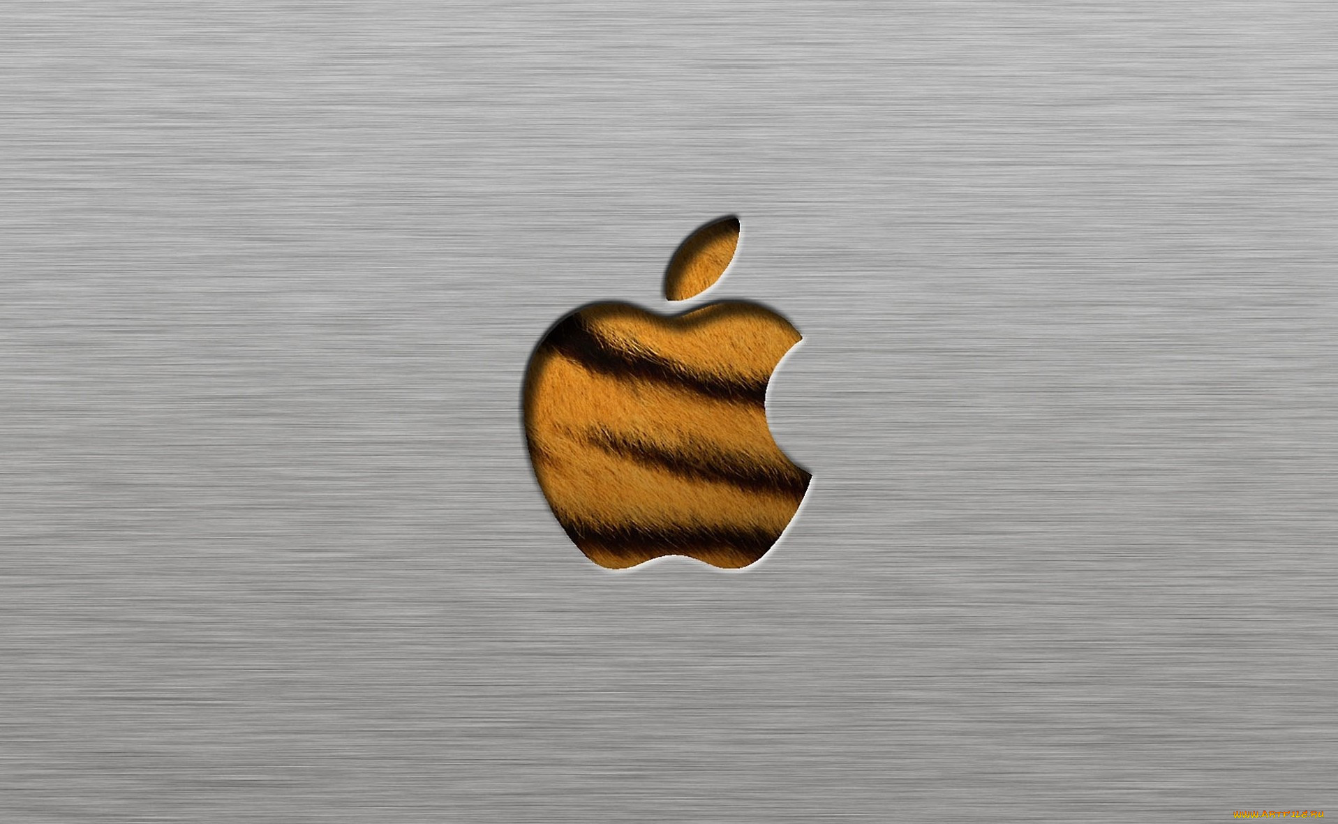 , apple